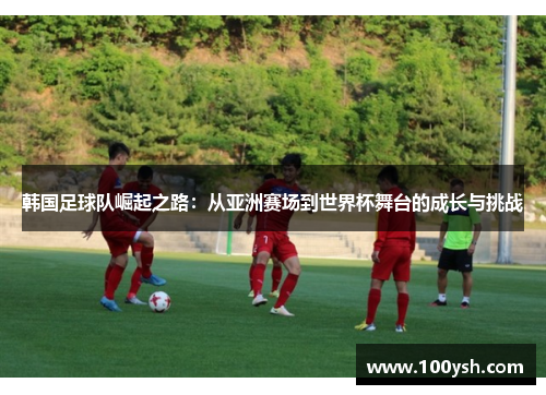 韩国足球队崛起之路：从亚洲赛场到世界杯舞台的成长与挑战